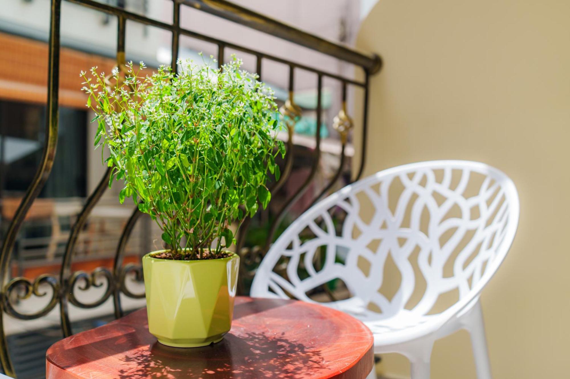 Co Chau Homestay Ho Chi Minh-stad Buitenkant foto